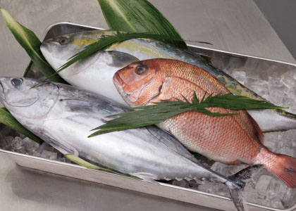 魚料理例